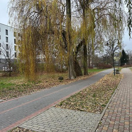 Apartament Kosciuszki 33F Ilawa Exterior photo